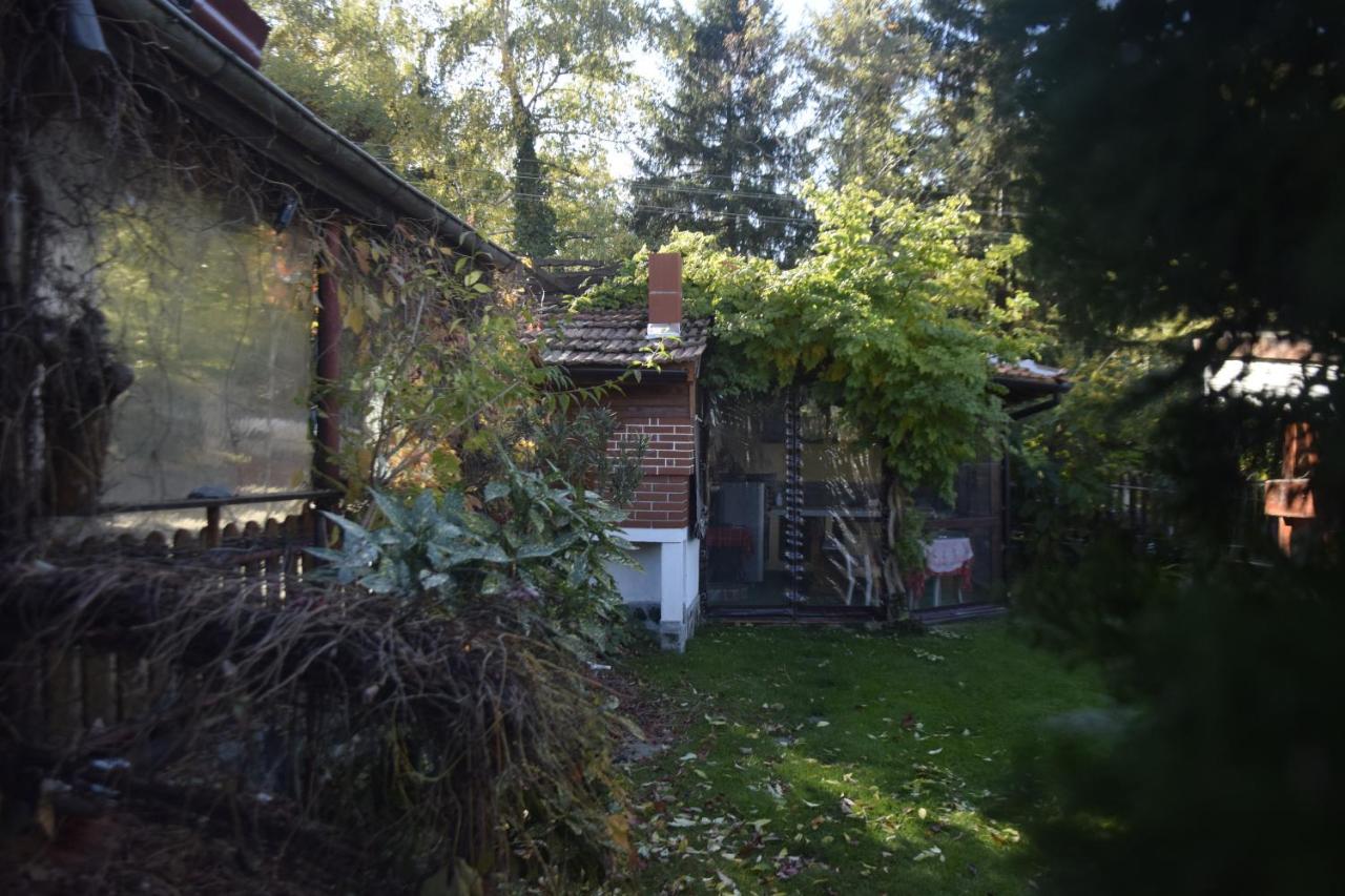 ספרבה בניה Guest House Zdravets מראה חיצוני תמונה